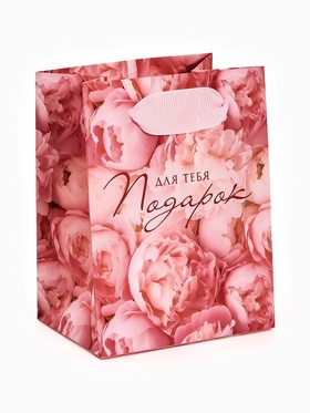 Пакет ламинированный «Подарок для тебя», 9 ? 12 ? 6.5 см (комплект 4 шт)