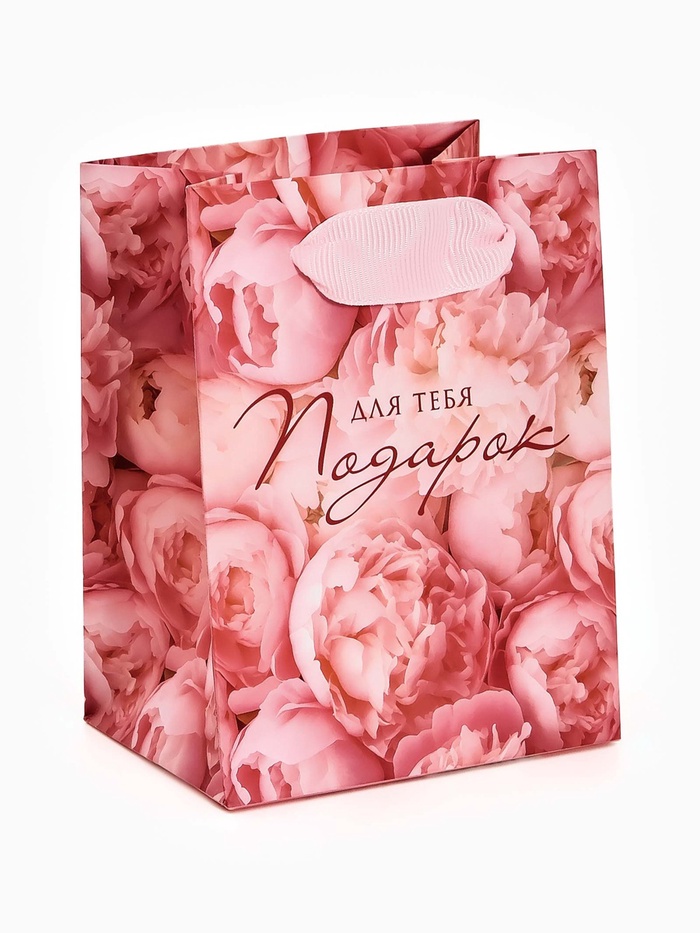 Пакет ламинированный «Подарок для тебя», 9×12×6.5 см - Фото 1