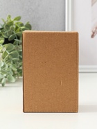 Набор фигурок песчаник «Манэки-нэко», 4 шт., 4.3×4×5.5 см - фото 23596536