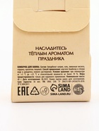 Бомбочка для ванны, аромат тыквенный штрудель, 40 г, Ural Lab 10867243