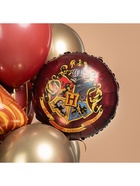Воздушные шары фольгированные 18" «Волшебная школа», 5 шт. 10942576