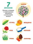 Книга с окошками «Чем пахнет всё вокруг?», 7 ароматов - фото 119110530