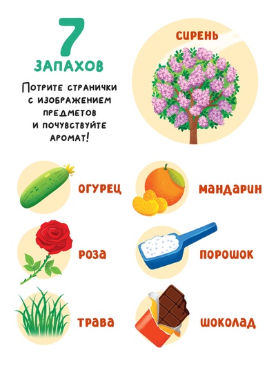 Книга с окошками «Чем пахнет всё вокруг?», 7 ароматов