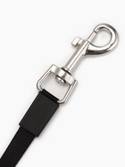 Рулетка для собак «Зарница» , 3 м, до 11.5 кг, чёрно-белая - фото 809310689