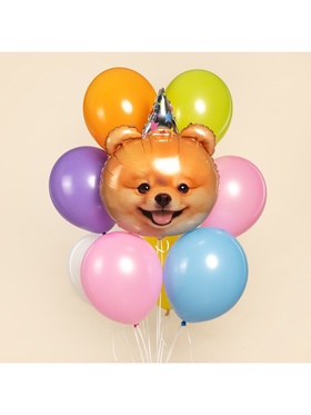 Воздушный шар фольгированный 28" «Собака в колпачке»