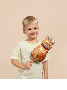 Воздушные шары фольгированные 17" «Котик в колпачке», 5 шт., для палочек