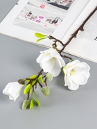 Цветы искусственные «Магнолия галант», 56×11 см, белые - фото 60174106