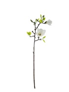 Цветы искусственные «Магнолия галант», 56×11 см, белые  (артикул 10902908)  большой выбор товаров оптом и в розницу по низким ценам с доставкой