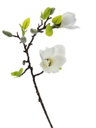 Цветы искусственные «Магнолия галант», 56×11 см, белые  (артикул 10902908)  большой выбор товаров оптом и в розницу по низким ценам с доставкой