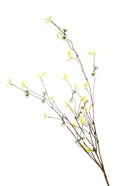 Цветы искусственные «Ранняя вишня», h=65 см, белые  (артикул 10902909)  большой выбор товаров оптом и в розницу по низким ценам с доставкой