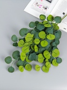 Цветы искусственные «Эвкалипт популус», h=96 см, зелёные - фото 60174112