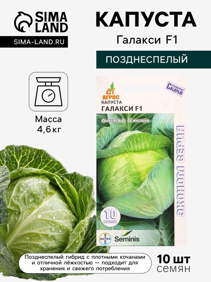 Семена Капуста «Галакси», F1, 10 шт., «Агросс» - Фото 1