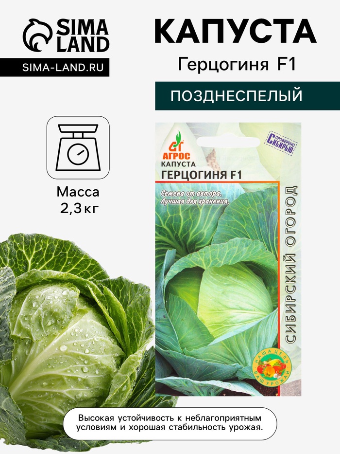 Семена Капуста «Герцогиня», F1, 0.1 г, «Агросс»