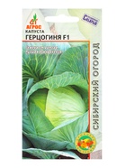 Семена Капуста «Герцогиня», F1, 0.1 г, «Агросс»  (артикул 10944001)  большой выбор товаров оптом и в розницу по низким ценам с доставкой