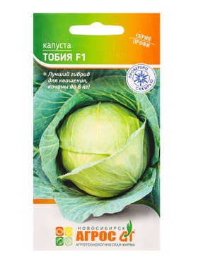 Семена Капуста «Тобия», F1, 15 шт., «Агросс» 10944003