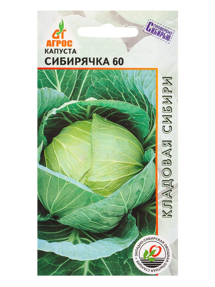 Семена Капуста "Сибирячка 60" 0,3 г - Фото 1