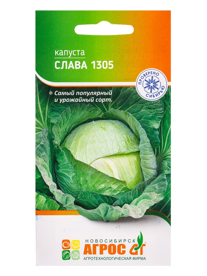 Семена Капуста «Слава 1305», 0.3 г, «Агросс» - Фото 1