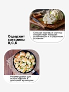 Семена Капуста цветная «Альфа» 0.3 г, «Агросс» - Фото 3