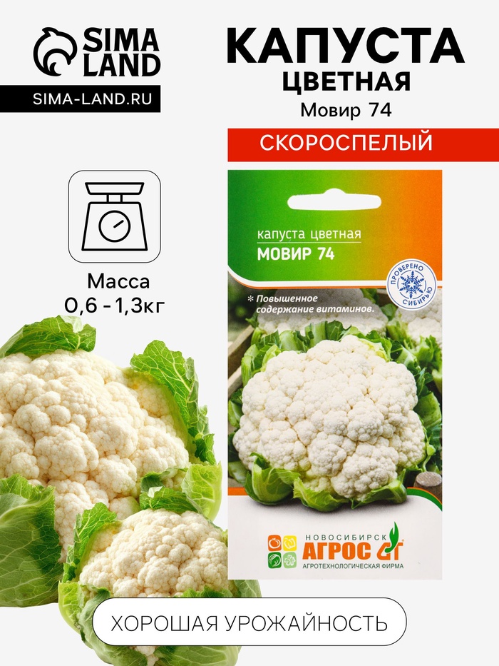 Семена Капуста цветная «Мовир 74» 0.3 г, «Агросс» - Фото 1