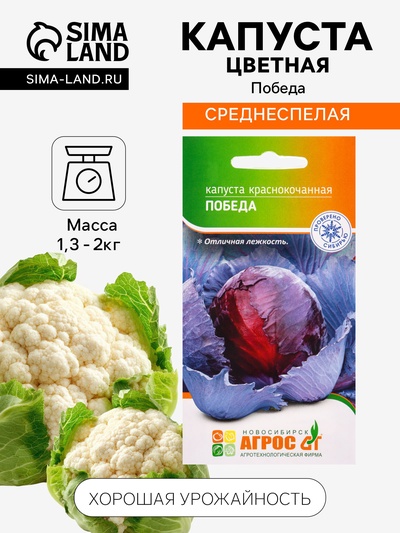 Семена Капуста «Победа» 0.3 г, «Агросс»