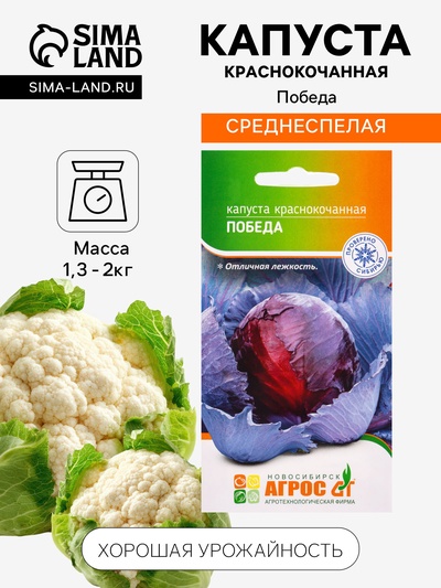 Семена Капуста «Победа» 0.3 г, «Агросс»