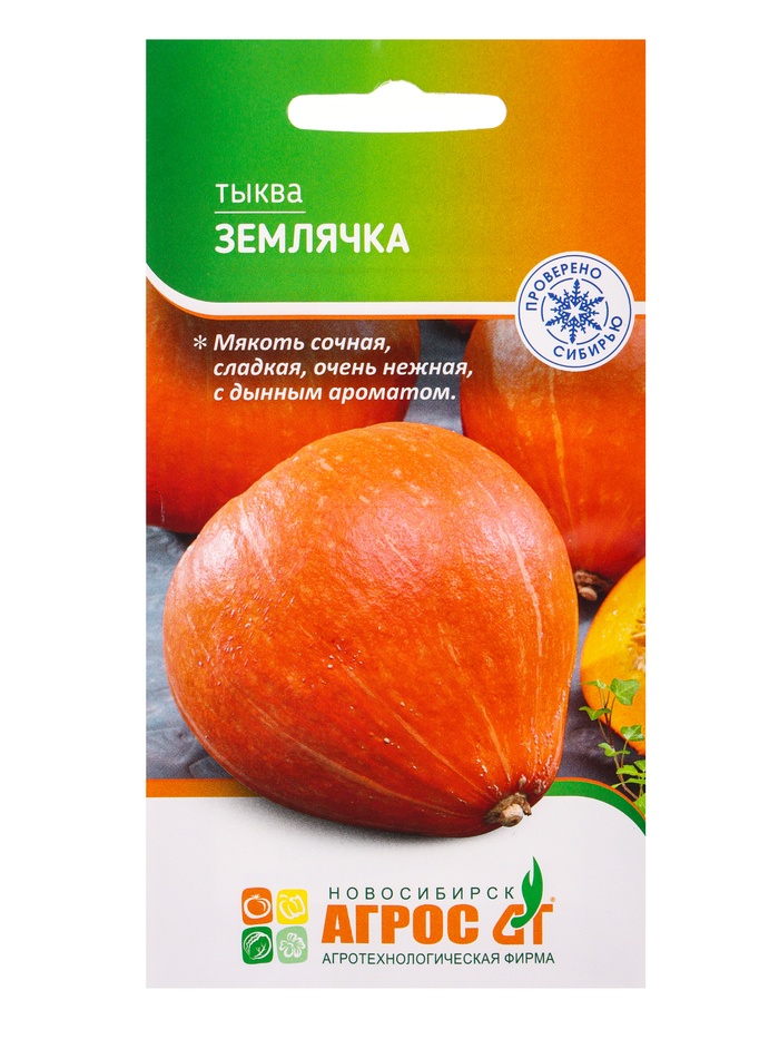 Семена Тыква "Землячка" 3 шт - Фото 1