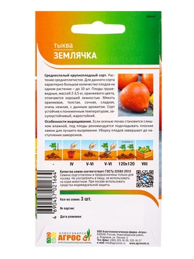 Семена Тыква "Землячка" 3 шт (комплект 3 шт)