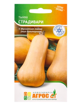 Семена Тыква "Страдивари" 5 шт (комплект 2 шт)