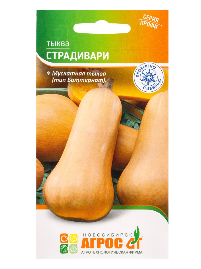 Семена Тыква "Страдивари" 5 шт - Фото 1