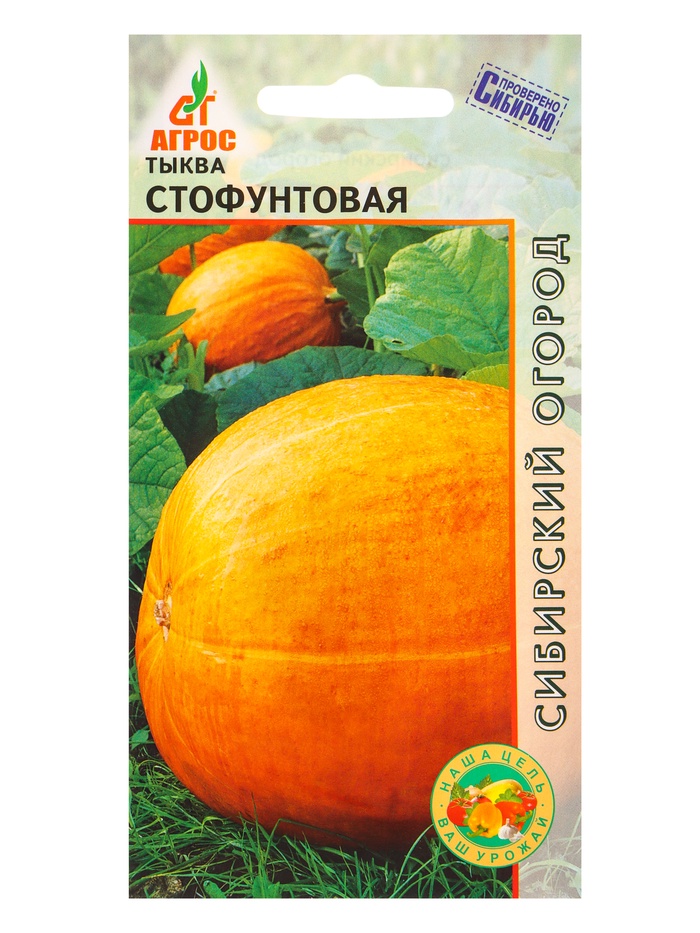 Семена Тыква "Стофунтовая" 6 шт - Фото 1