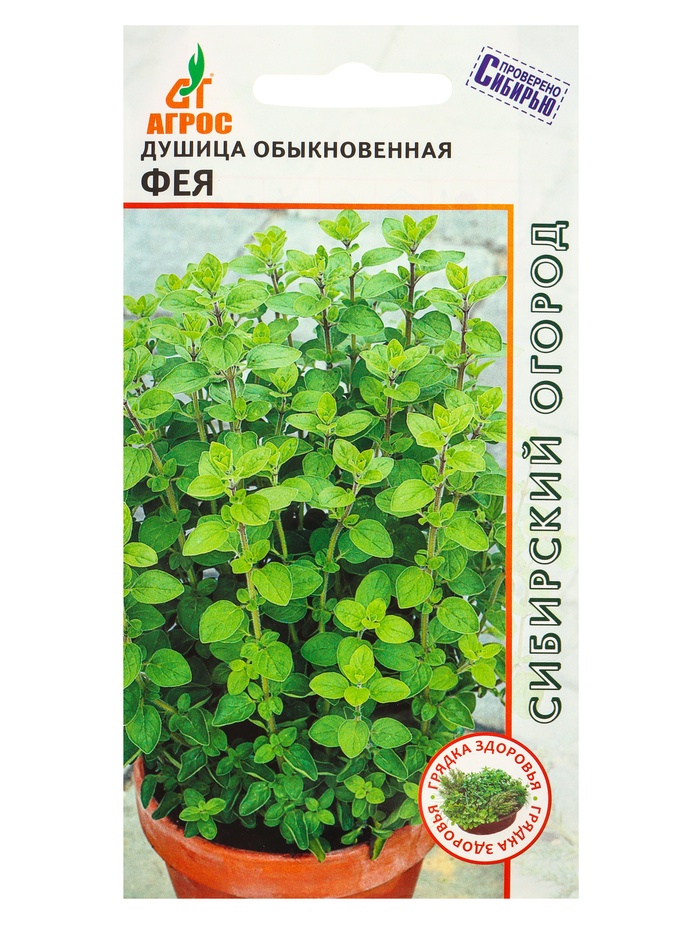 Семена Душица обыкновенная "Фея" 0,1 г - Фото 1