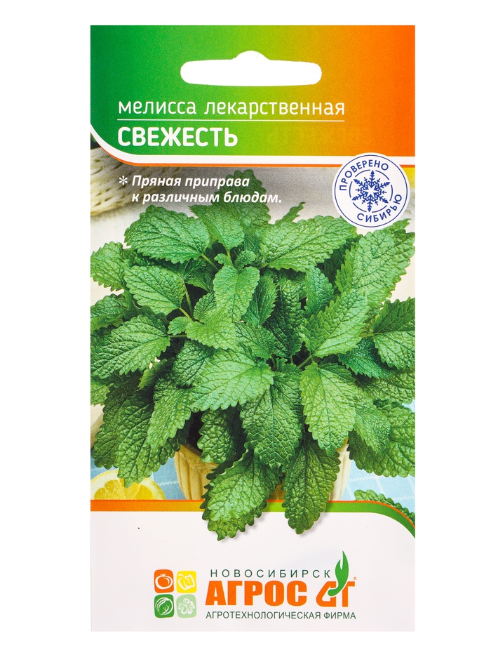 Семена Мелисса «Свежесть» 0.1 г, «Агросс» - Фото 1