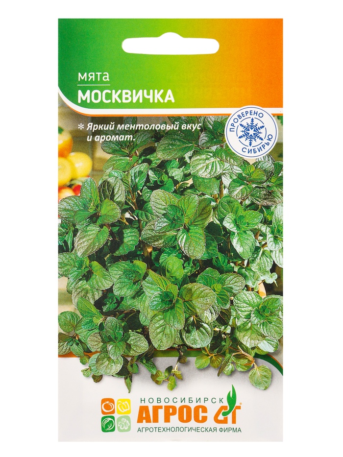 Семена Мята 