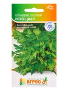 Семена Сельдерей "Потенциал" 1 г (комплект 2 шт) - фото 60871818