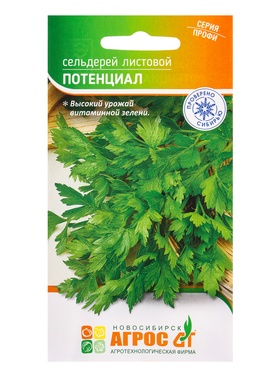 Семена Сельдерей 