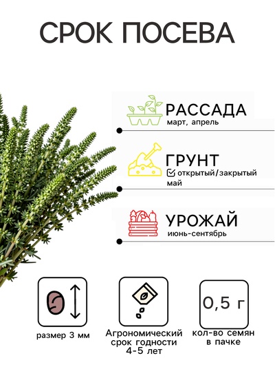 Семена Тимьян «Радужный» 0.5 г, «Агросс»