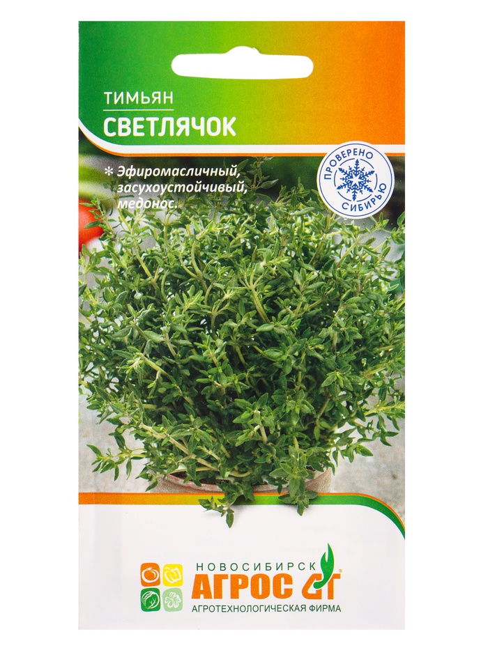 Семена Тимьян «Светлячок» 0.5 г, «Агросс» - Фото 1