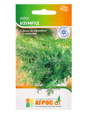 Семена Укроп 