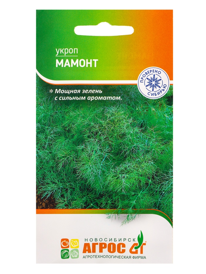 Семена Укроп «Мамонт» 2 г - Фото 1