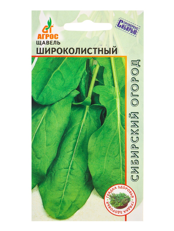 Семена Щавель 