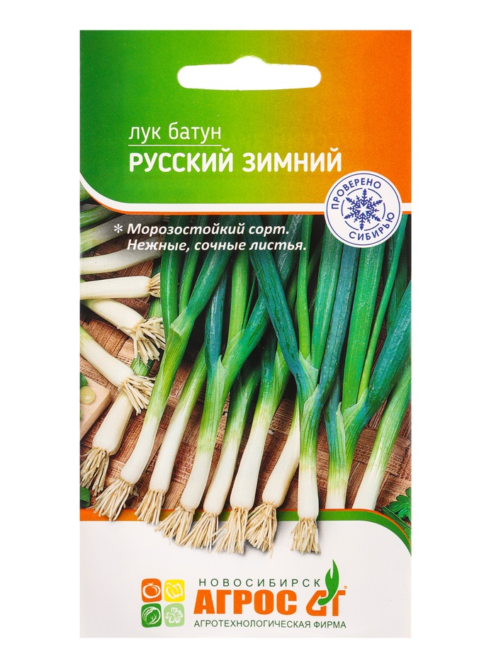 Семена Лук батун «Русский зимний», 1 г, «Агрос» - Фото 1