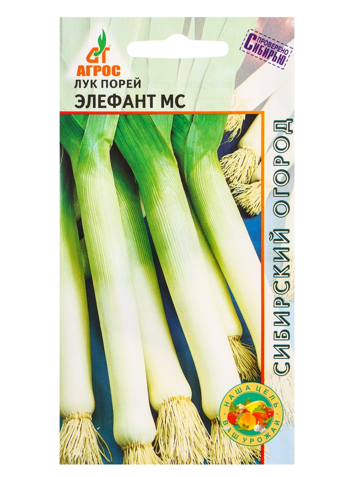 Семена Лук порей "Элефант МС" 1 г - Фото 1
