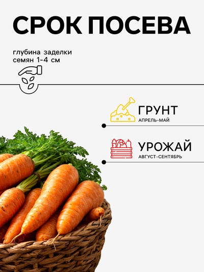 Семена Морковь «Нанте», 2 г, «Агросс»