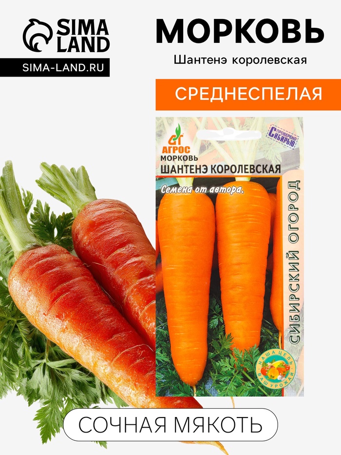 Семена Морковь «Шантенэ Королевская», 2 г, «Агросс» - Фото 1