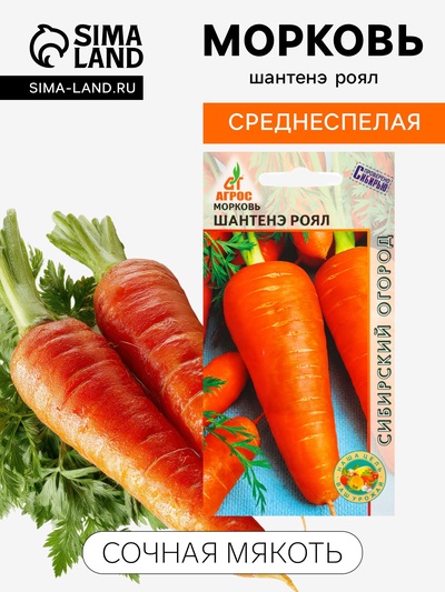 Семена Морковь «Шантенэ Роял», 1 г, «Агросс»