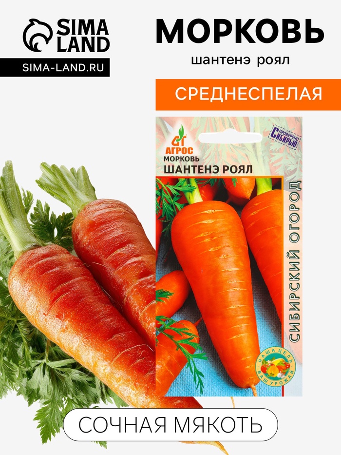 Семена Морковь «Шантенэ Роял», 1 г, «Агросс» - Фото 1