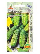 Семена Огурец "Засолочный" 10 шт (комплект 5 шт) - фото 60871940