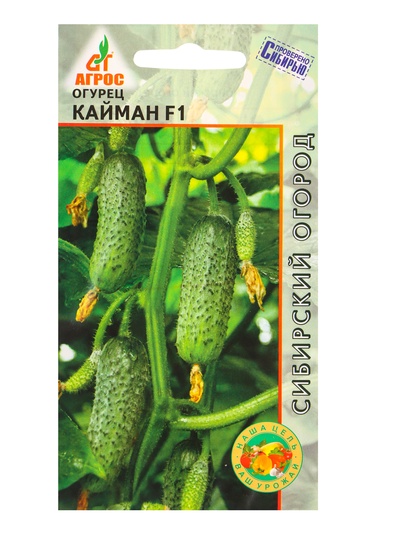 Семена Огурец «Кайман», F1, 8 шт., «Агросс»