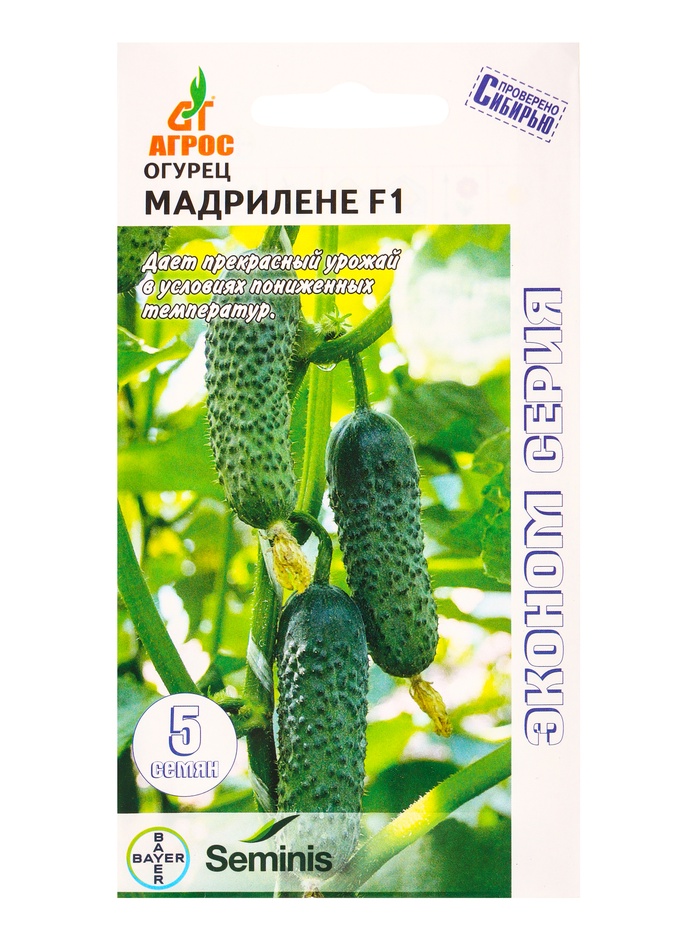 Семена Огурец «Мадрилене», F1, 5 шт., «Агросс» - Фото 1
