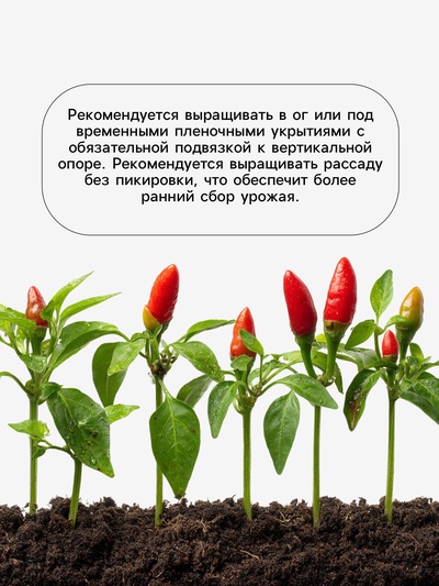 Семена Перец «Джипси», F1, 7 шт., «Агросс»